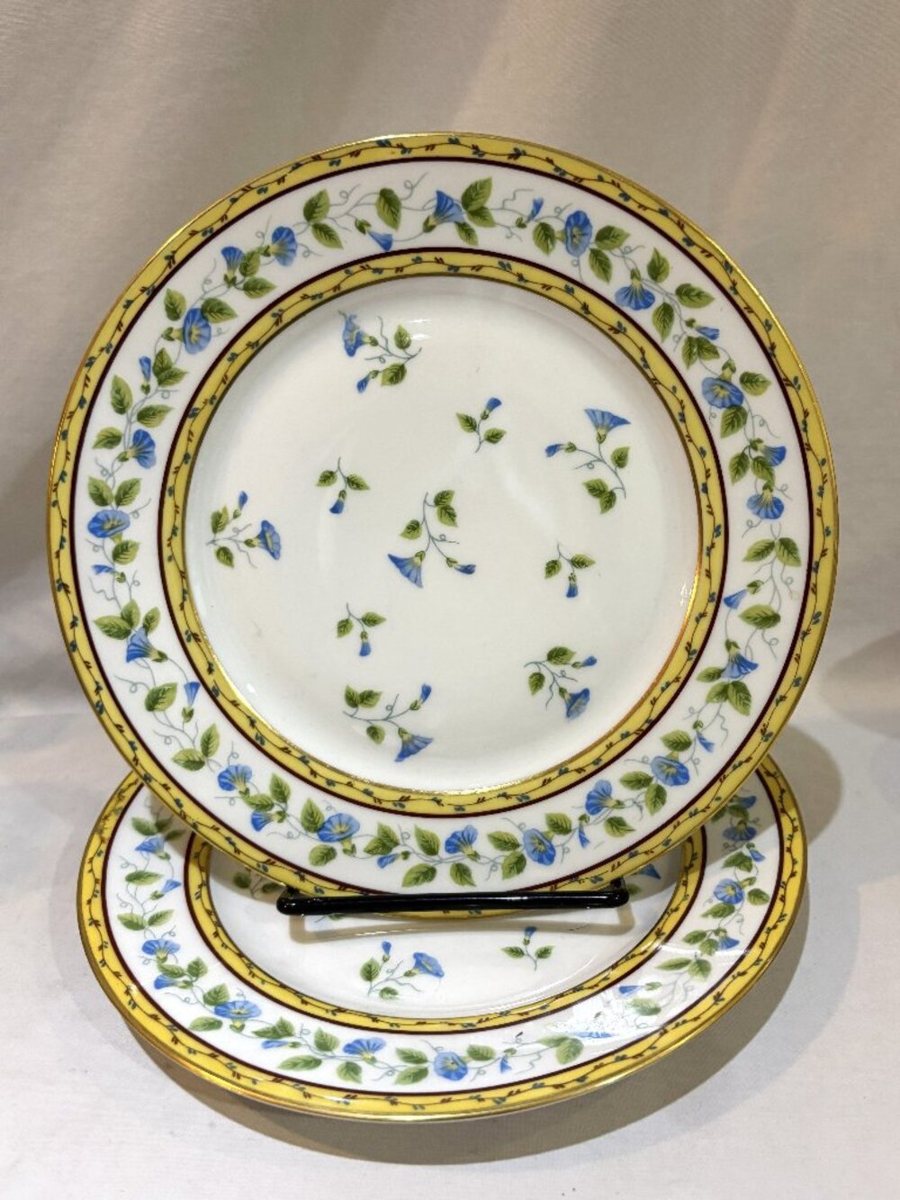 Pair of Raynaud Limoges France Morning Glory Spray 9 inch Luncheon Plates